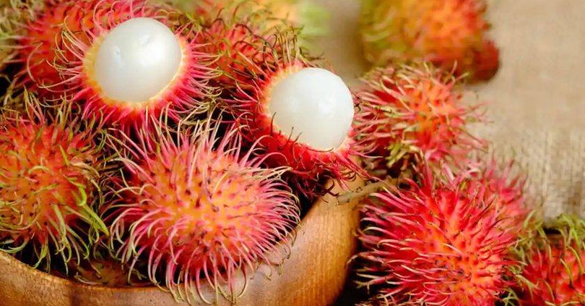 Rambutan: Exploring the Exotic Tropical Delight