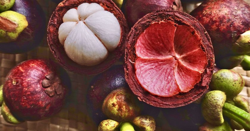 Mangosteen: The Exotic Jewel of the Tropics