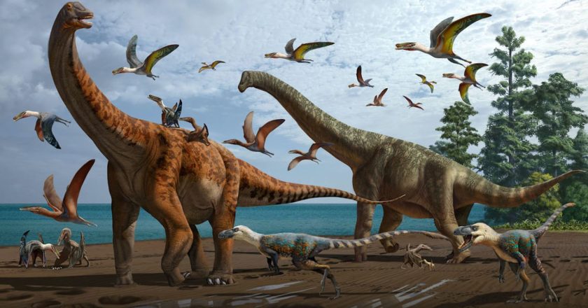 Top 20 Dinosaur Species: A Detailed Exploration of Earth’s Prehistoric Giants