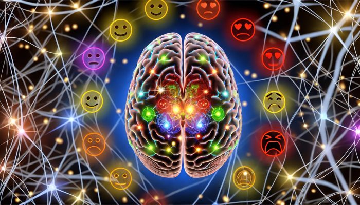 The Emotional Brain: Understanding How Emotions Shape Our Behavior