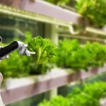 Vertical Farming: Revolutionizing Agriculture for a Sustainable Future