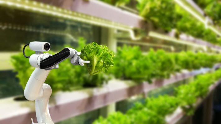 Vertical Farming: Revolutionizing Agriculture for a Sustainable Future