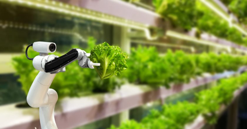 Vertical Farming: Revolutionizing Agriculture for a Sustainable Future