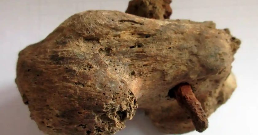 A Nail Through History: The Gruesome Evidence of Roman Crucifixion