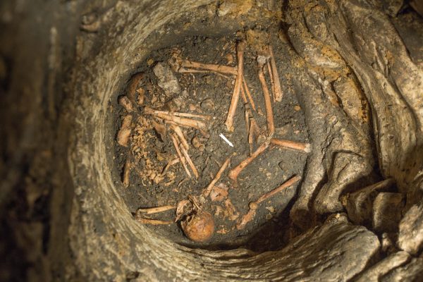 A Gruesome Discovery: The Roman Well of Entrains-sur-Nohain