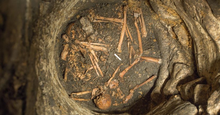 A Gruesome Discovery: The Roman Well of Entrains-sur-Nohain