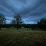 The Smell of Rain: How Ozone and Petrichor Signal an Approaching Storm