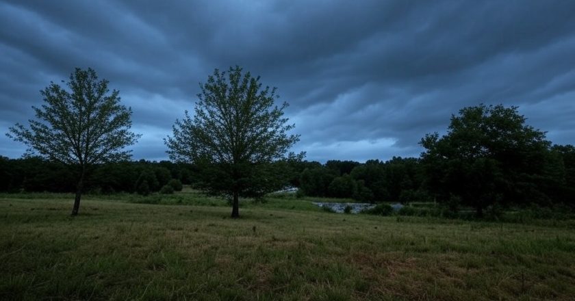 The Smell of Rain: How Ozone and Petrichor Signal an Approaching Storm