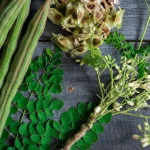 Moringa Oleifera: Discover the Incredible Health Benefits of the World’s Most Nutritious Superfood